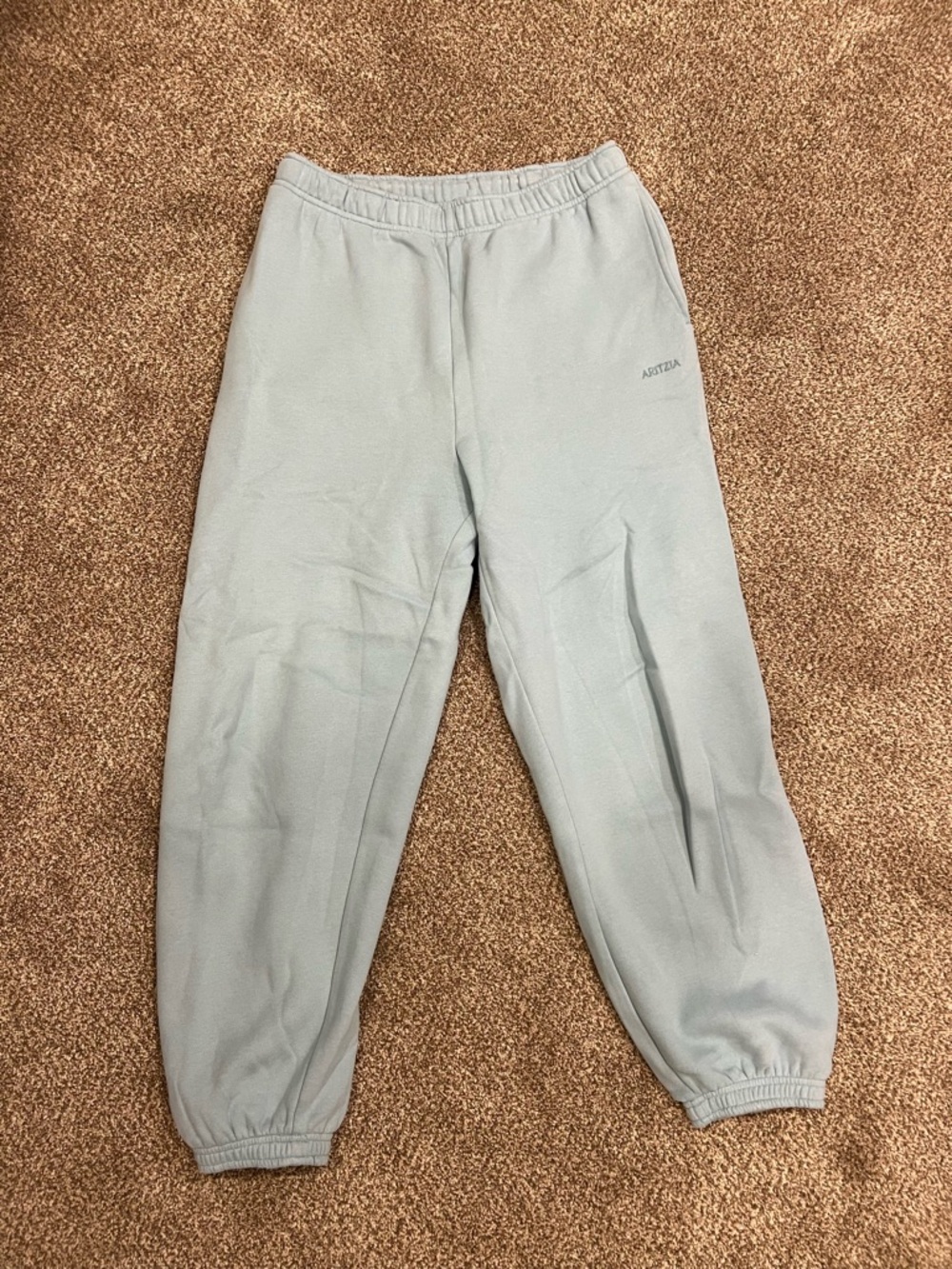 ARITZIA Light Blue Cozy Sweatpants